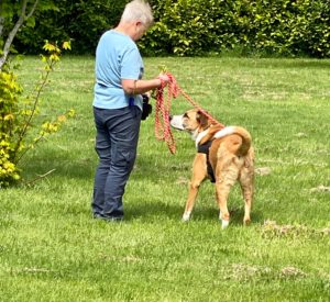 Picture of Lola Carey